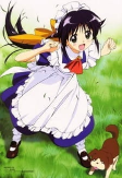 Capa de Anime