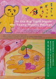 Cover of Anime