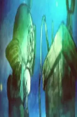 Titelbild von Anime