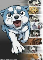 Titelbild von Anime