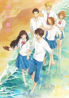 Capa de Anime