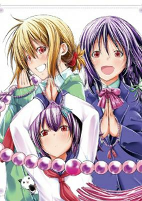 Cover of Anime