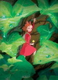 Capa de Anime