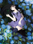 Capa de Anime