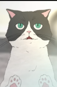 Capa de Anime