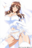 Capa de Anime