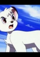 Capa de Anime
