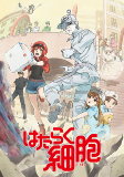 Capa de Anime