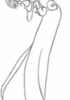 Capa de Anime