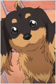 Capa de Personagens