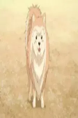 Capa de Personagens