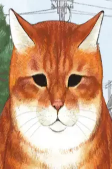 Titelbild von Charaktere