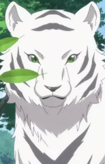 Capa de Personagens