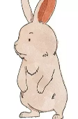 Capa de Personagens