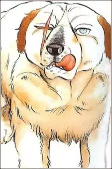 Titelbild von Charaktere