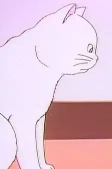 Capa de Personajes