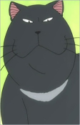 Capa de Personagens