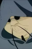 Capa de Personagens