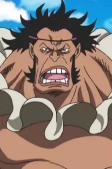 Titelbild von Synchronrollen