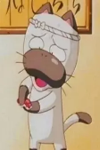 Capa de Personagens