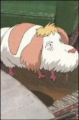 Capa de Personagens