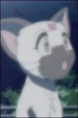 Capa de Personagens