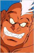 Titelbild von Synchronrollen