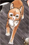 Capa de Personagens