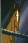 Capa de Personagens