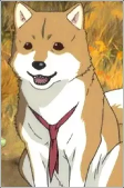 Capa de Personagens