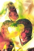 Titelbild von Charaktere