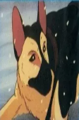 Titelbild von Charaktere