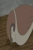 Capa de Personagens