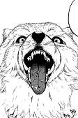 Titelbild von Synchronrollen