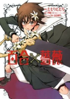 Capa de Manga