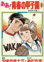 Capa de Manga