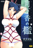Cover of Manga