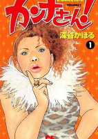 Cover of Manga