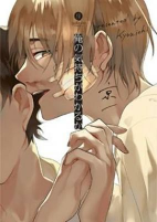 Capa de Manga
