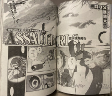 Capa de Manga