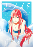Capa de Manga
