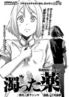 Capa de Manga