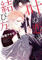Capa de Manga
