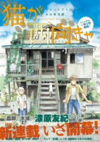 Capa de Manga
