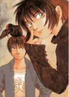Capa de Manga