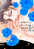 Capa de Manga