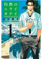 Capa de Manga