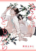 Capa de Manga