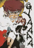 Capa de Manga