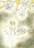 Capa de Manga